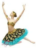 Oriental Costume F 0076